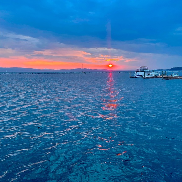 Meet your Posher, Mckenna - Picture 1 of 1